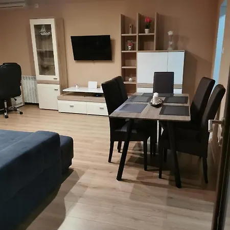 Lovro Apartamento Rijeka